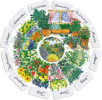 Herb Garden Month by Month - image 2