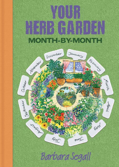 Herb Garden Month by Month - image 1