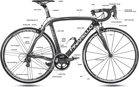 Anatomy of a Mountain Bike Anatomy of a TriathlonTime Trial Bike Anatomy - photo 4