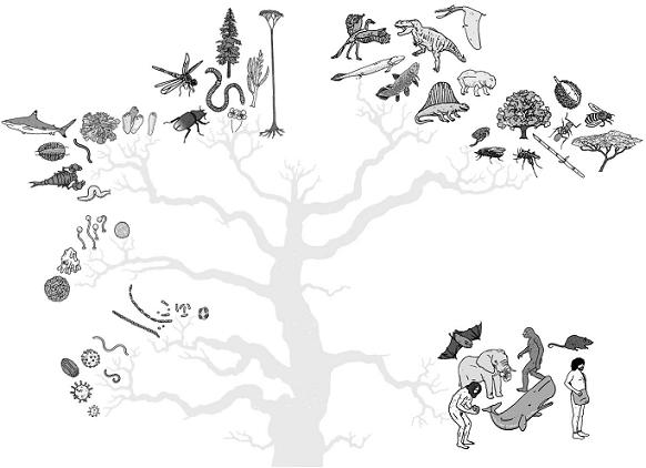 From four billion to 12000 years before present 1 On Viruses FAMILY - photo 8