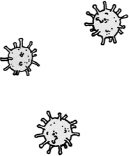 FAMILY ORTHOMYXOVIRIDAE SPECIES INFLUENZAVIRUS A RANK 9 One of - photo 9