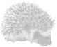 Hedgehog - image 3