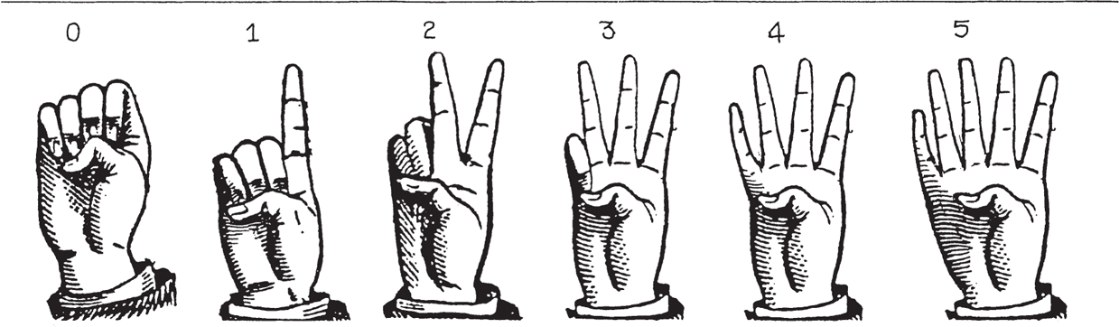 The fingers of the hands are useful for defining bases Some systems use five - photo 14