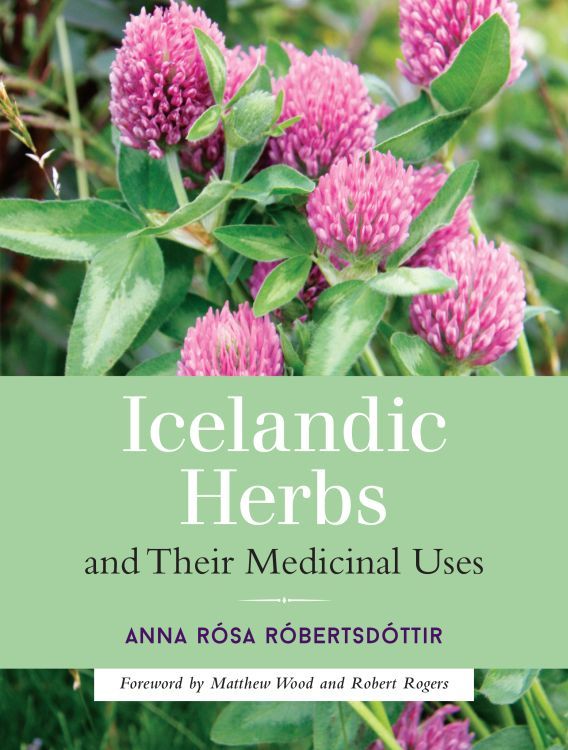 Icelandic Herbs and Their Medicinal Uses Icelandic Herbs and Their Medicinal - photo 1