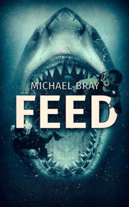 Michael Bray - Feed