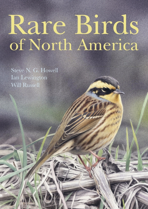 Rare Birds of North America STEVE N G HOWELL IAN LEWINGTON AND WILL RUSSELL - photo 1