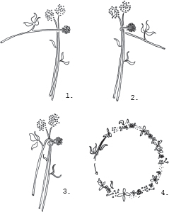 Tip Use ivy or clover flowers for the frame of the wreath These flowers are - photo 13