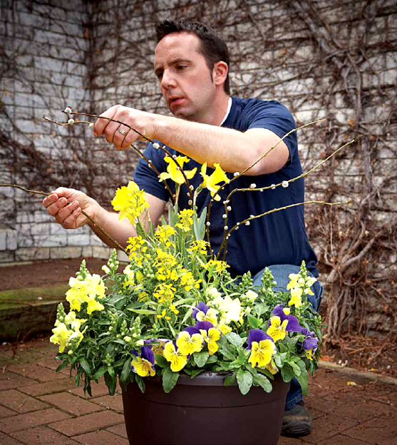 I love container gardening and Im not the only one its popularity has grown - photo 8