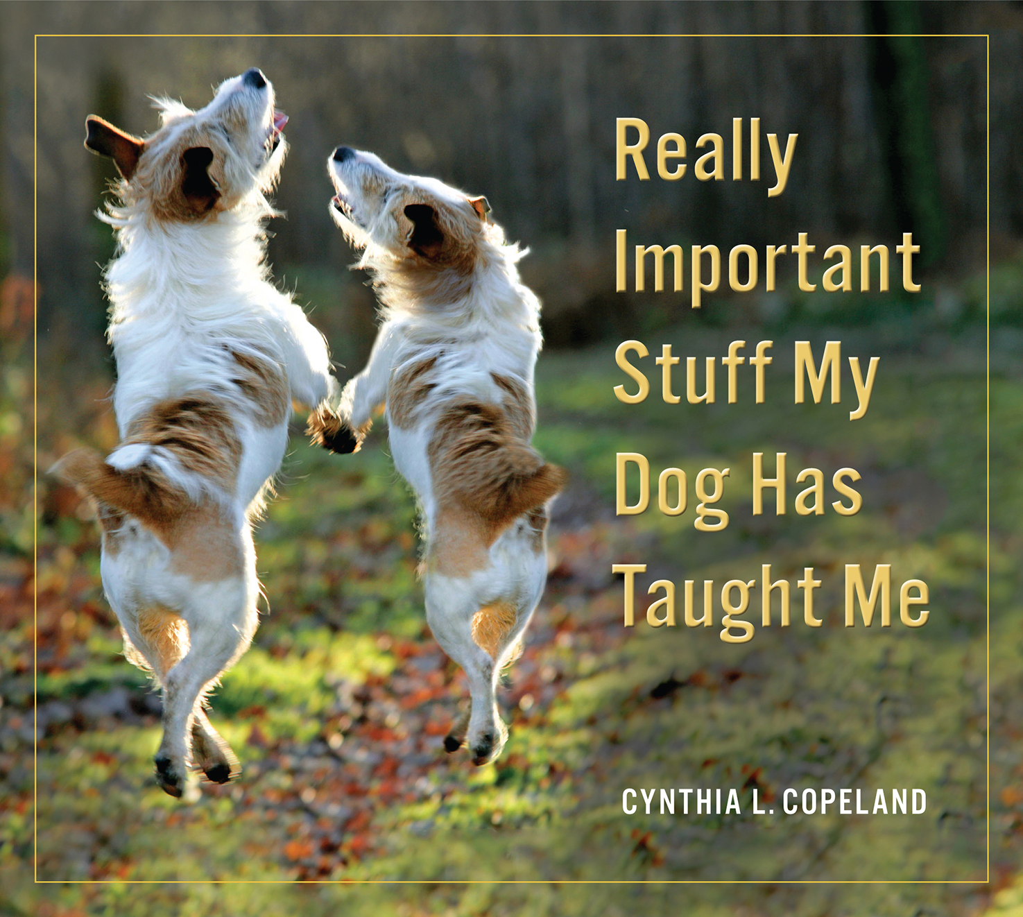 Really Important Stuff My Dog Has Taught Me Cynthia L Copeland Workman - photo 1