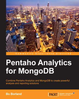 Bo Borland Pentaho Analytics for Mongodb