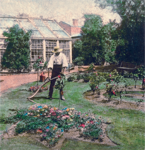 XII A gardener scything in a grand formal garden in the 1860s XIII A - photo 14