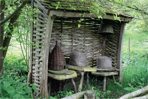 III Bee skeps of plaited straw in the garden of Bayleaf Farmstead Hives are - photo 5