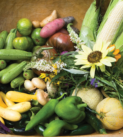 The Kitchen Gardeners Handbook - image 1