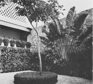 Acapulco reflects the Mediterranean Inside a walled street-entry this circular - photo 3