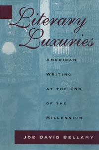 title Literary Luxuries American Writing At the End of the Millennium - photo 1