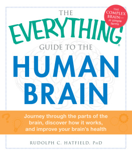 Rudolph C. Hatfield - The Everything Guide to the Human Brain: Journey Through the Parts of the Brain, Discover How It Works, and Improve Your Brain’s Health