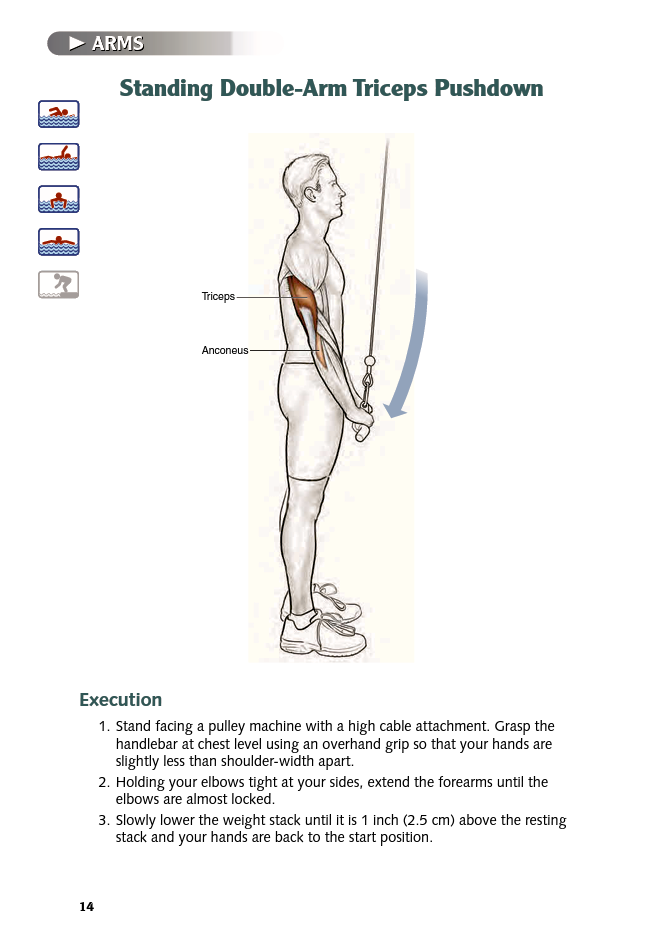 Swimming Anatomy - photo 15