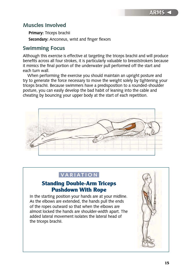 Swimming Anatomy - photo 16