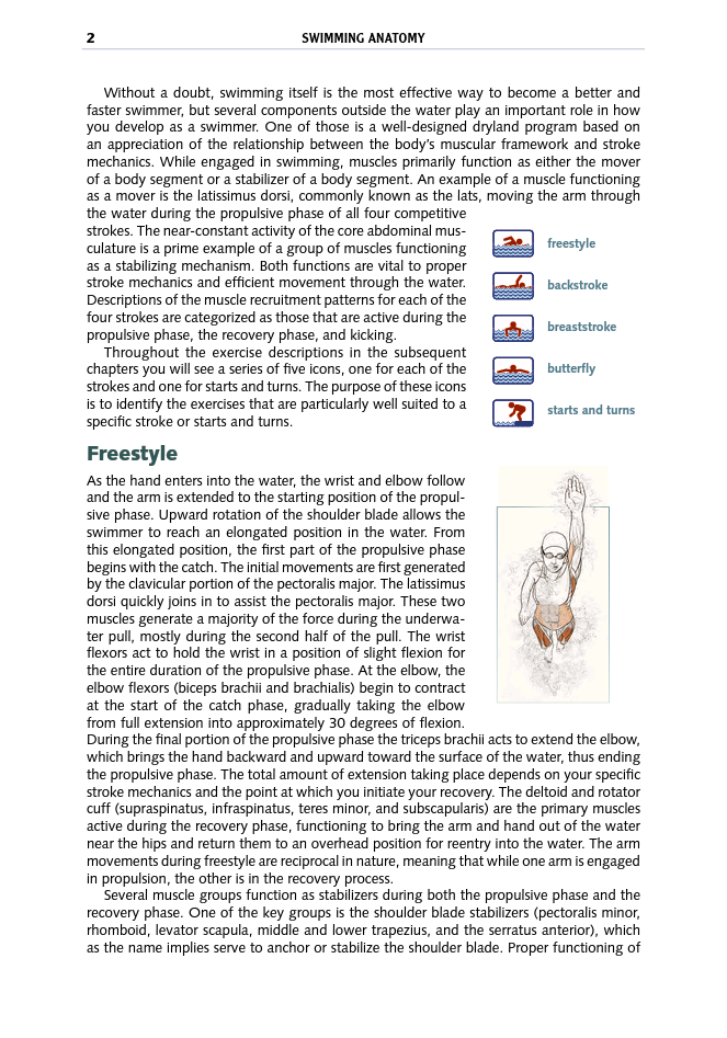 Swimming Anatomy - photo 4