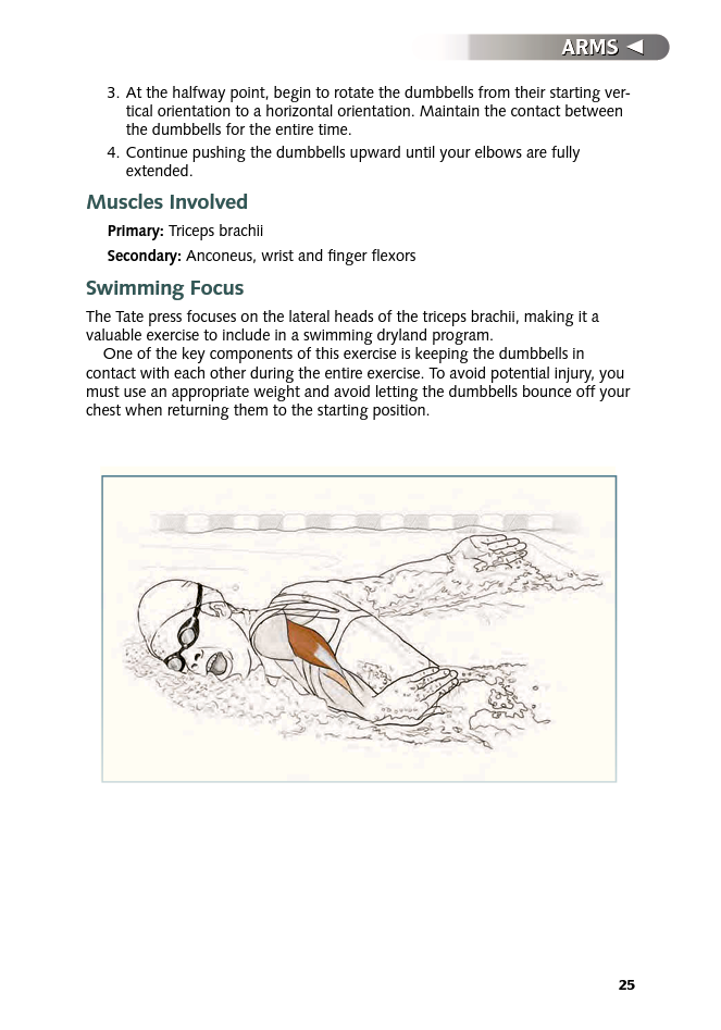 Swimming Anatomy - photo 26