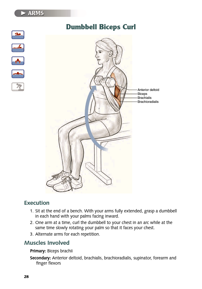 Swimming Anatomy - photo 29