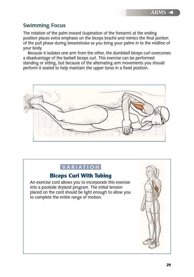 Swimming Anatomy - photo 30