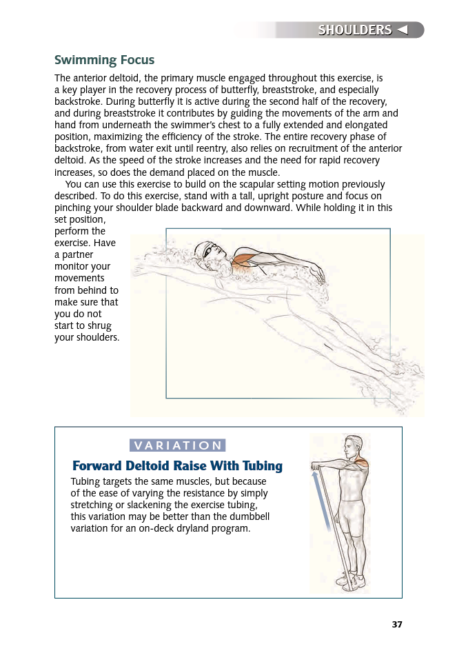 Swimming Anatomy - photo 37