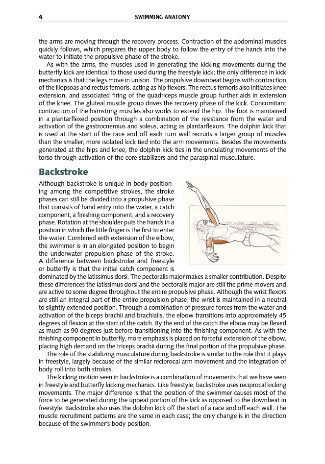 Swimming Anatomy - photo 6