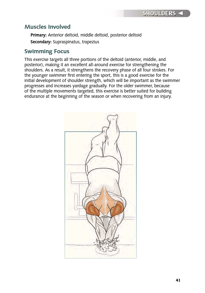 Swimming Anatomy - photo 41