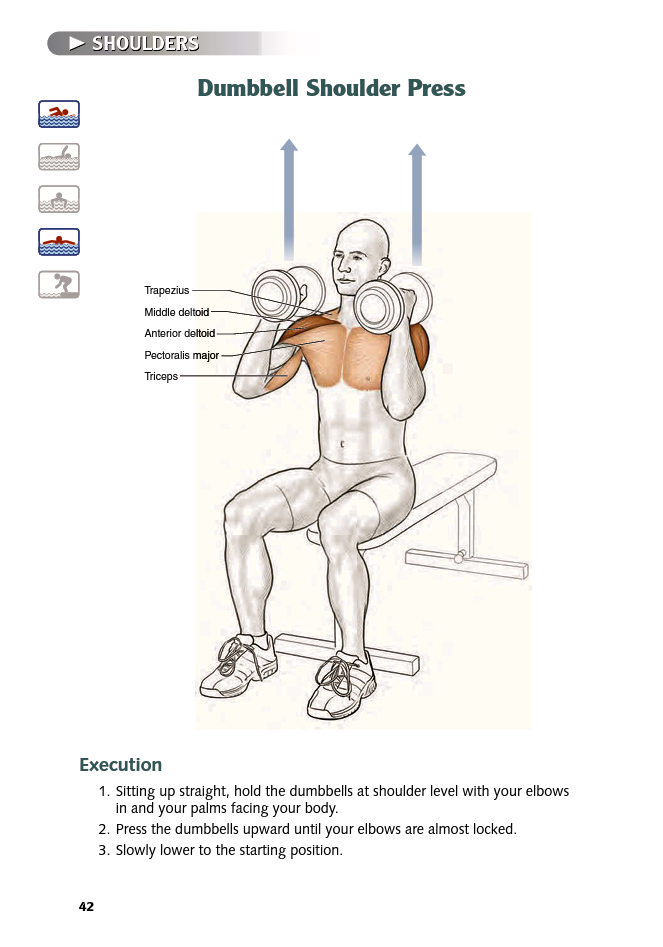 Swimming Anatomy - photo 42