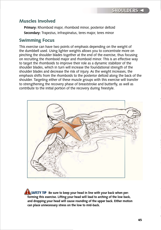 Swimming Anatomy - photo 45