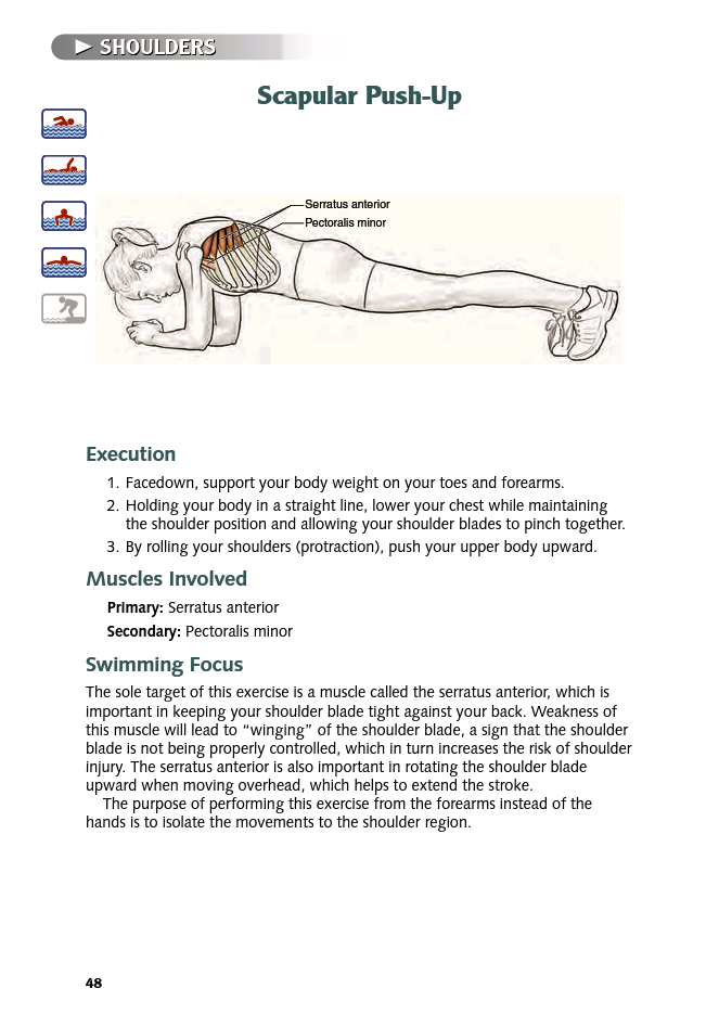 Swimming Anatomy - photo 48