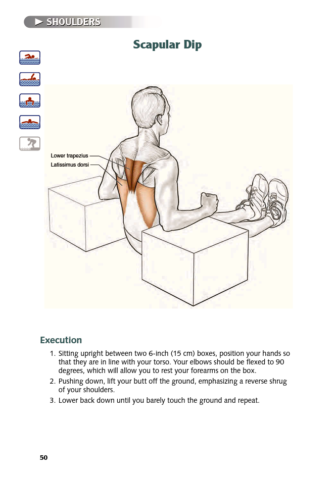 Swimming Anatomy - photo 50