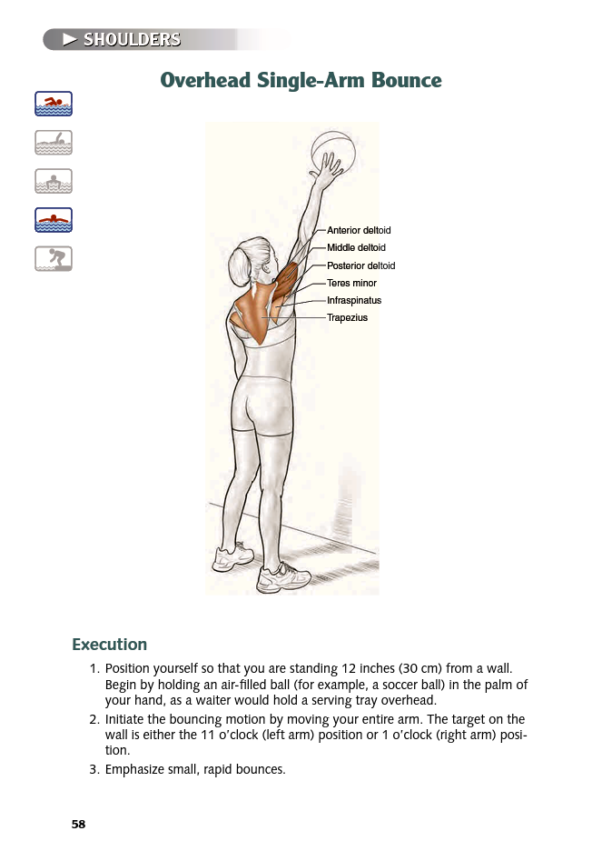 Swimming Anatomy - photo 58