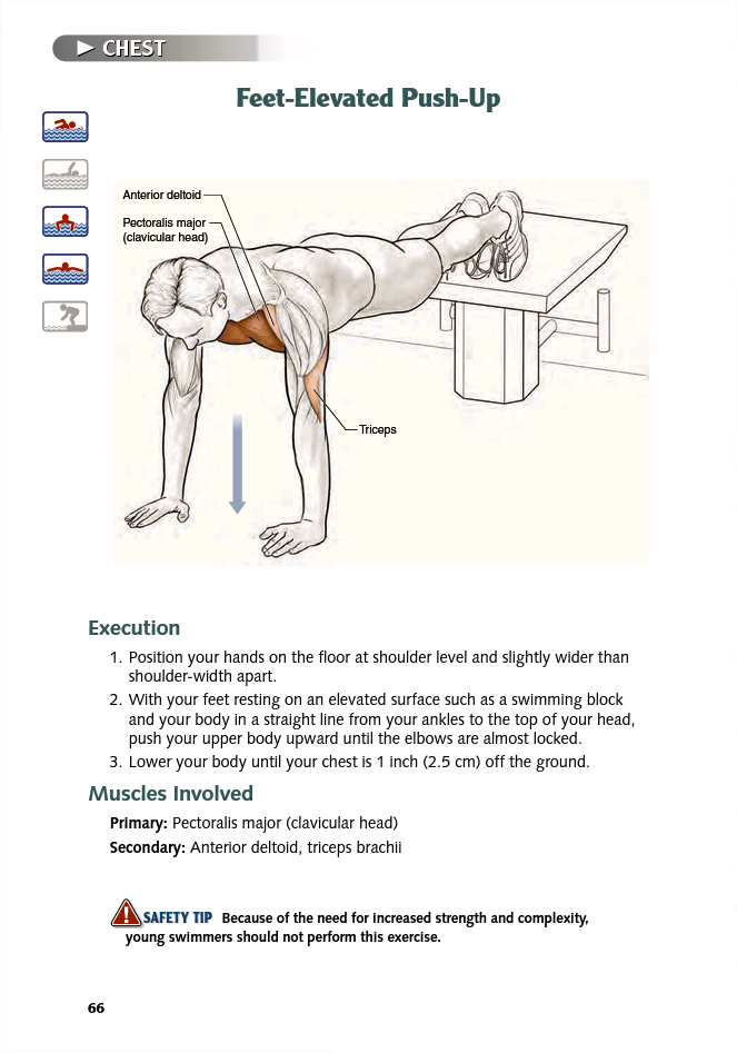 Swimming Anatomy - photo 65