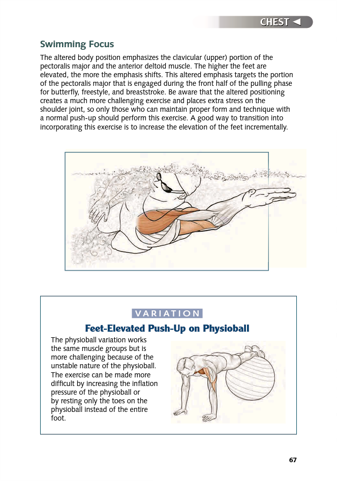 Swimming Anatomy - photo 66