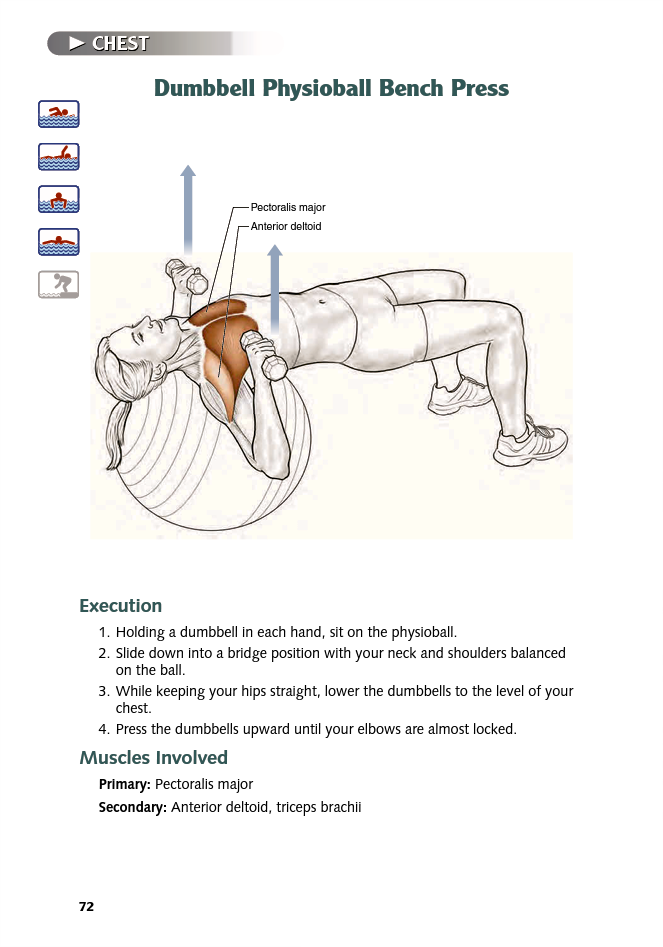 Swimming Anatomy - photo 71