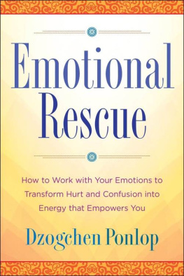 Dzogchen Ponlop Emotional Rescue: How to Work with Your Emotions to Transform Hurt and Confusion into Energy That Empowers You