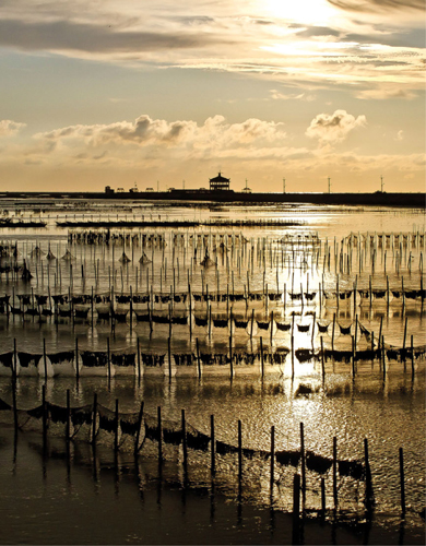 Sunset over oyster farms in Tainan southern Taiwan CONTENTS RECIPES - photo 1