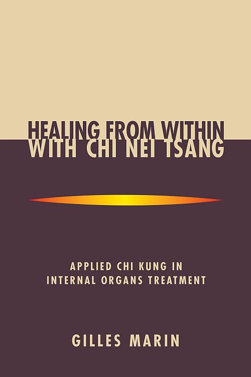 Healing from Within with Chi Nei Tsang - photo 1