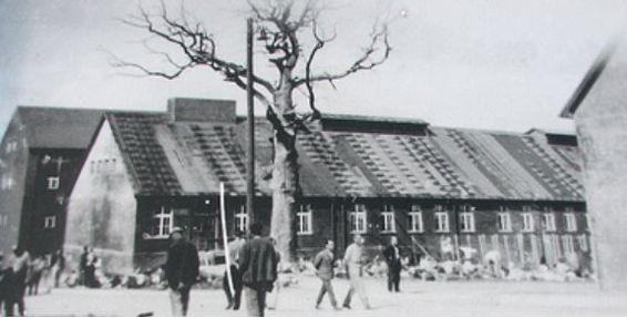 This picture Courtesy Buchenwald Museum was taken in 1944 at Buchenwald - photo 2