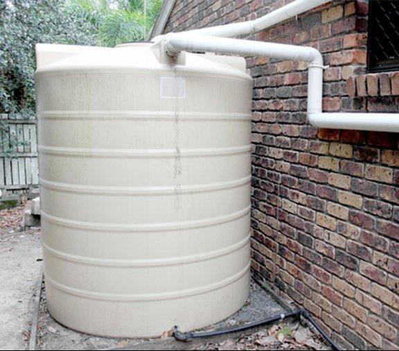 Collecting rainwater is one of the fastest ways to get access to fairly fresh - photo 6