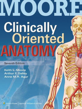 Keith L. Moore PhD FIAC FRSM FAAA - Clinically Oriented Anatomy, 7th edition