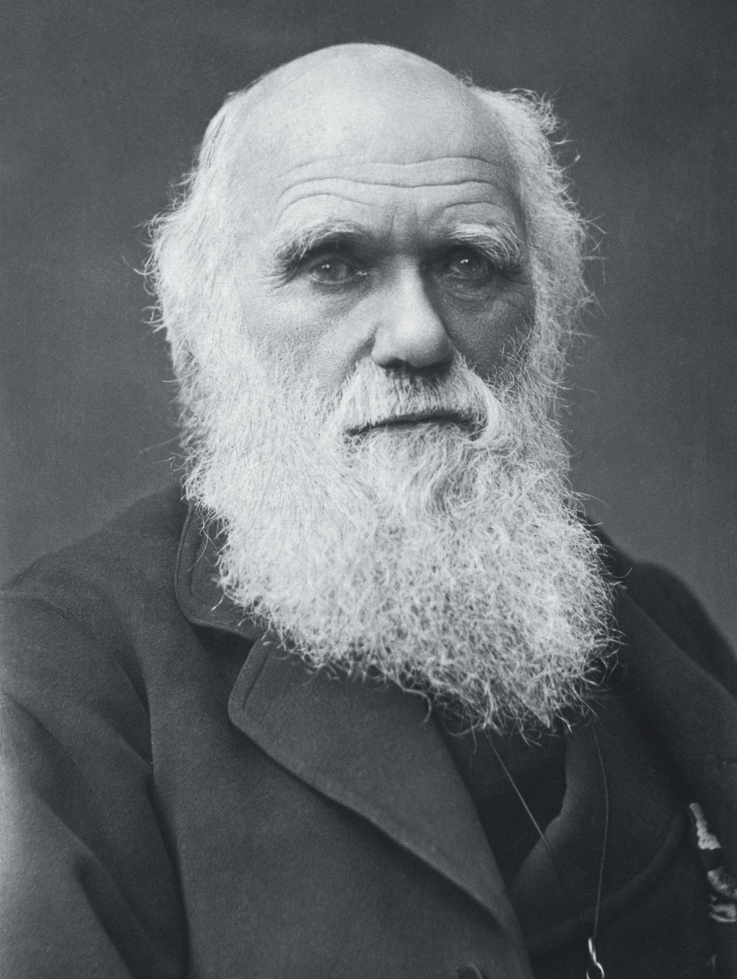 Charles Darwin here in his seventies and his tree of life sketch showing - photo 3