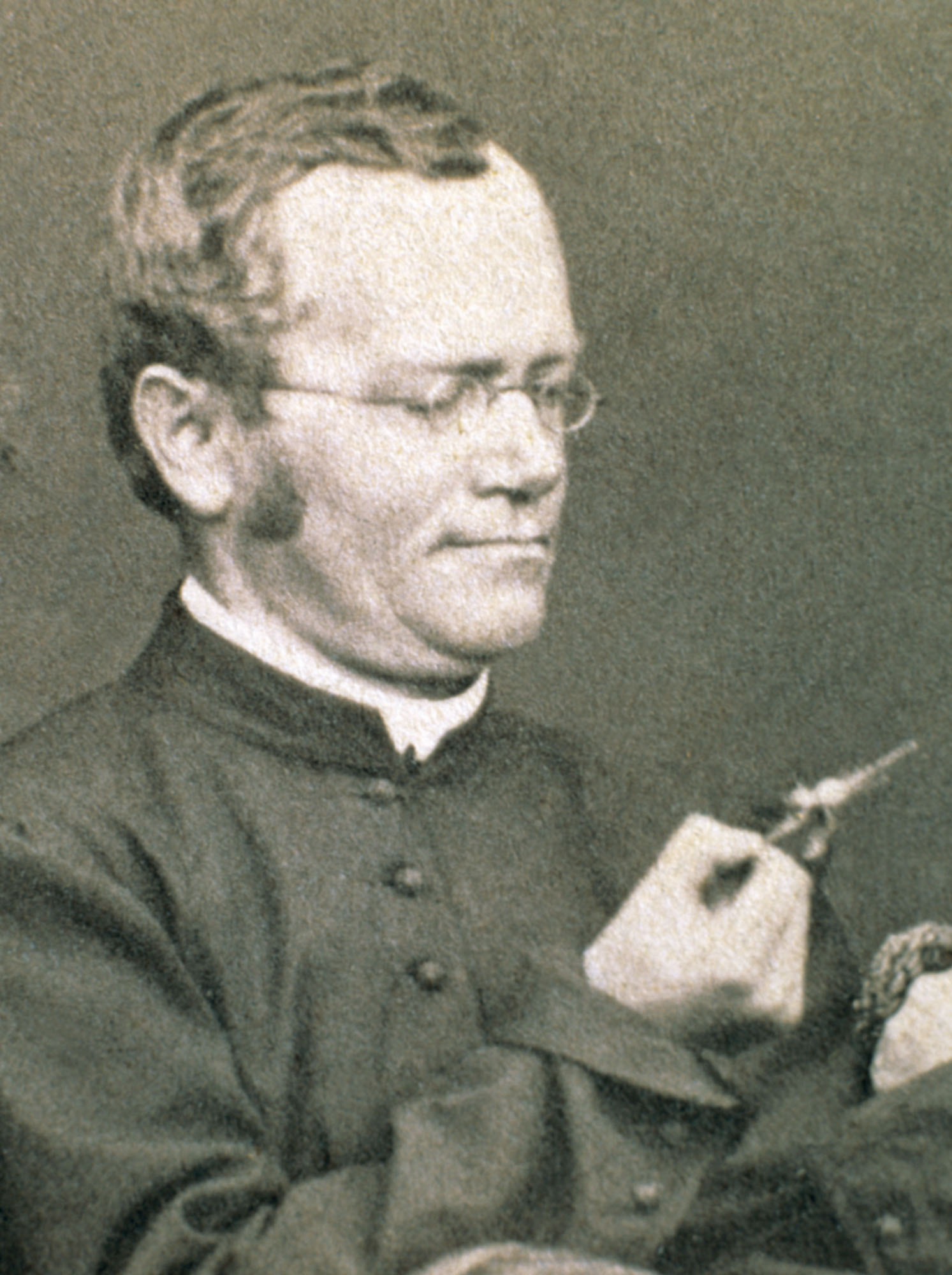 Gregor Mendel holds a flower possibly from a pea plant in his monastery - photo 5