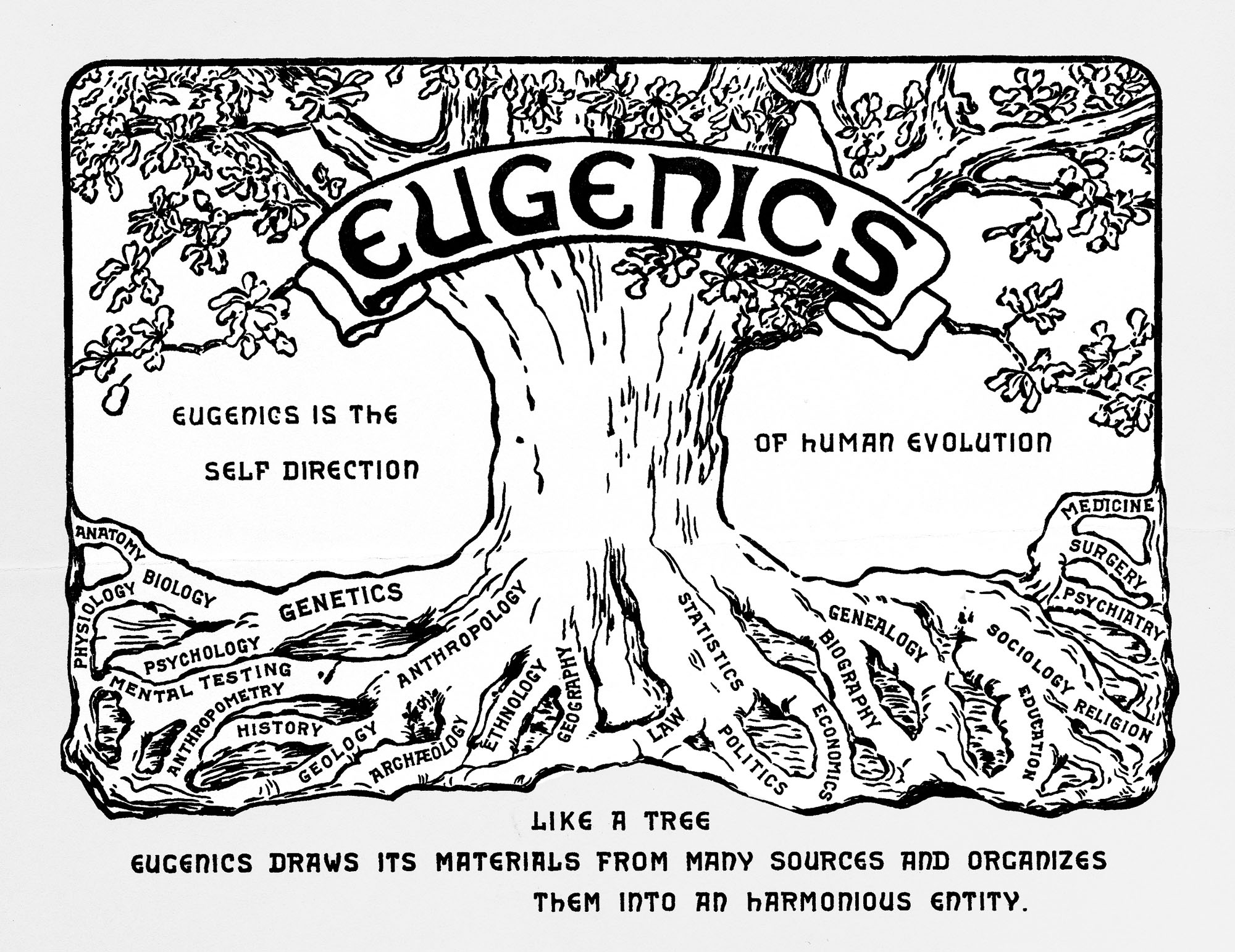 A eugenics tree cartoon from the United States argues for the self-direction of - photo 10