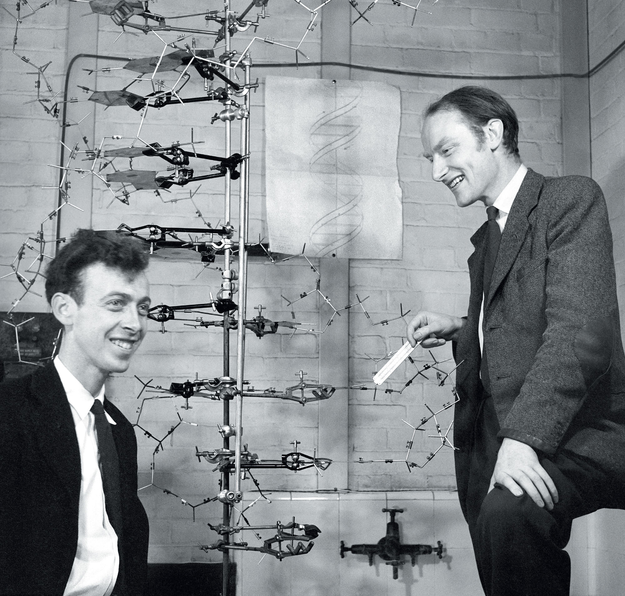 James Watson and Francis Crick demonstrate their model of DNA as a double helix - photo 14