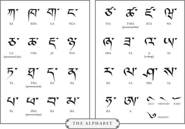 T HE GOAL OF THIS BOOK is to introduce the classical uchen alphabet to Western - photo 5