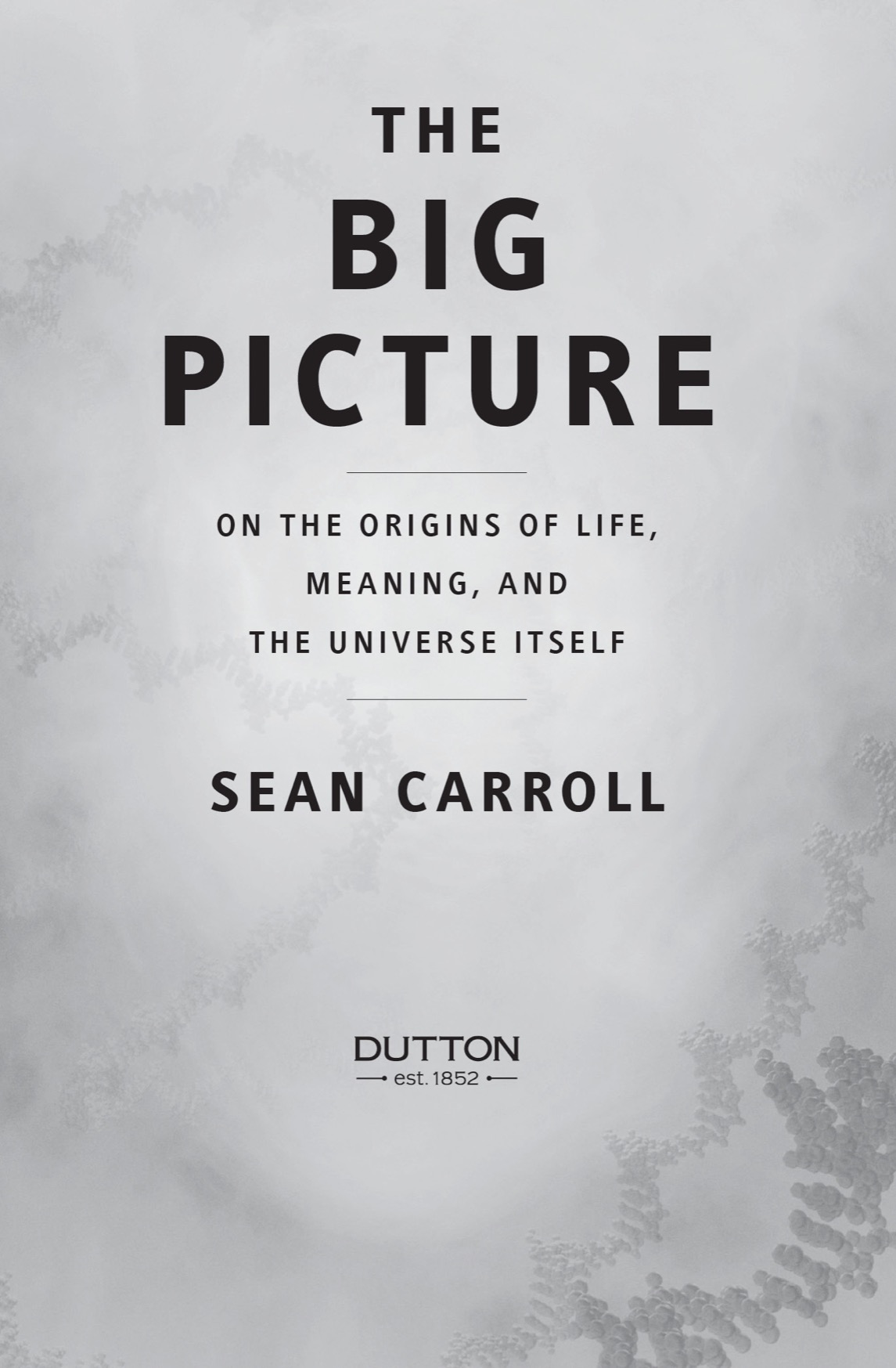 The Big Picture On the Origins of Life Meaning and the Universe Itself - image 2