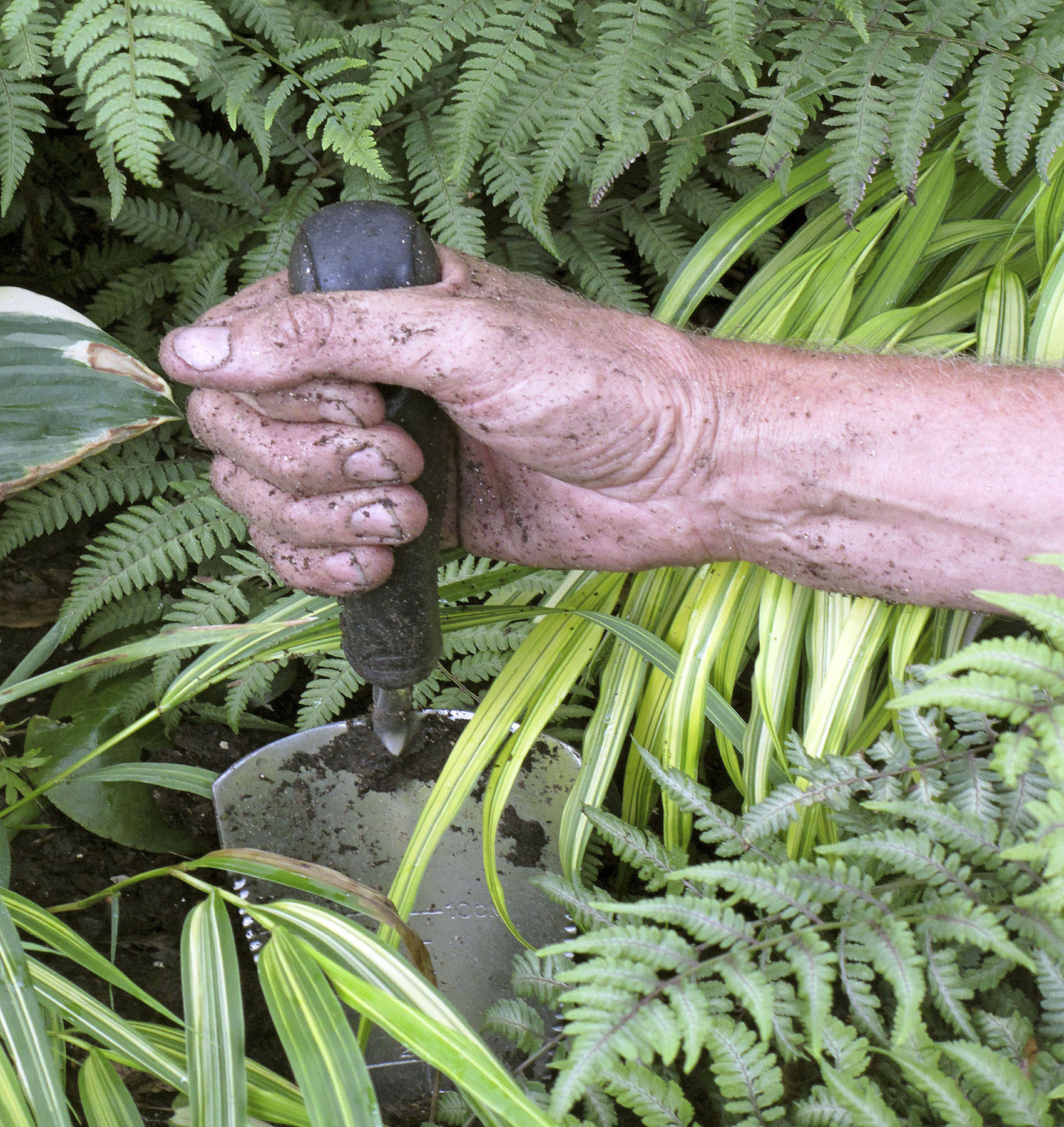 I am a horticulturalist but I am also a gardener with dirt under my nails - photo 5